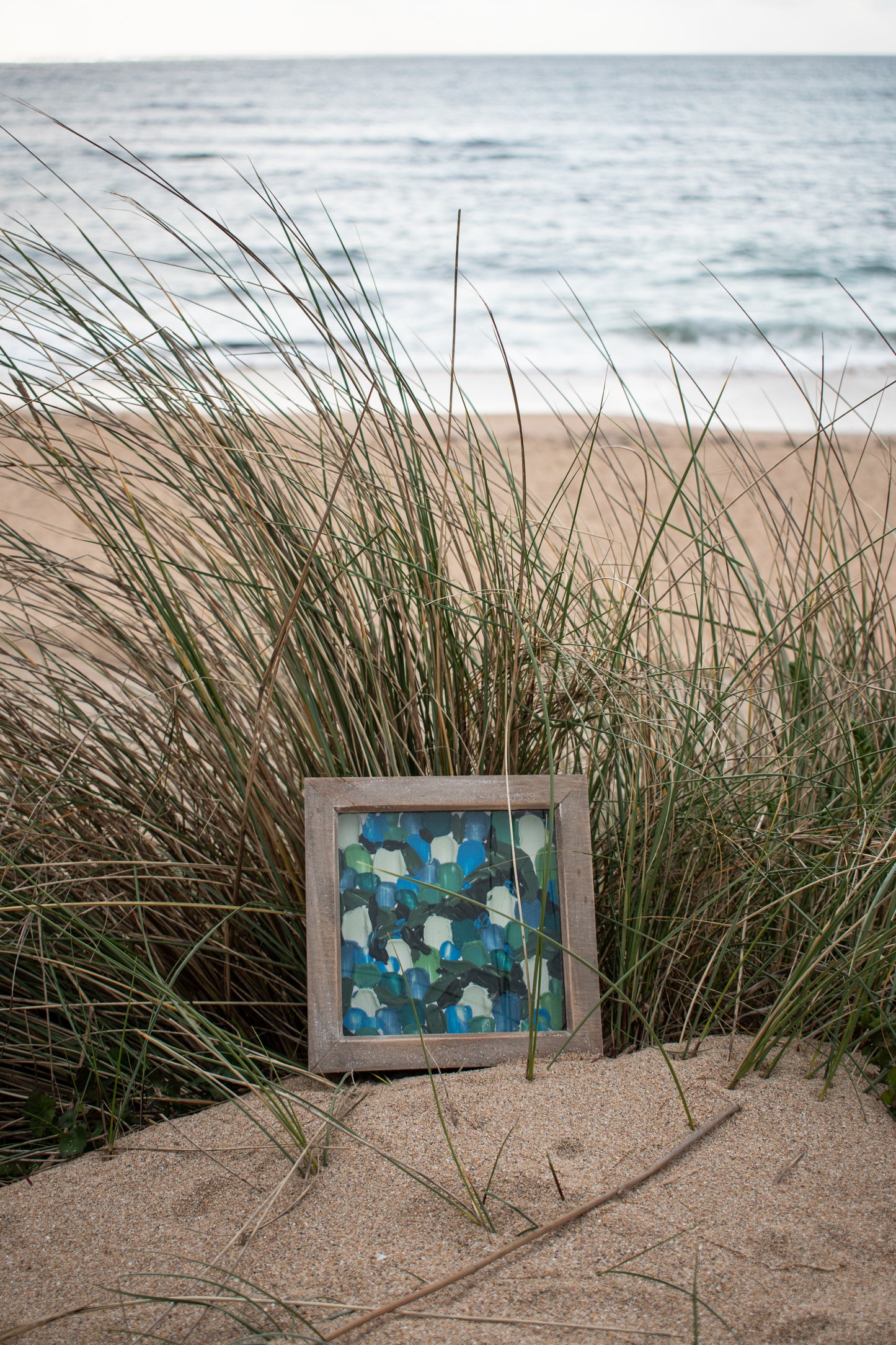 Ocean Mini | A Seaweedy Rockpool